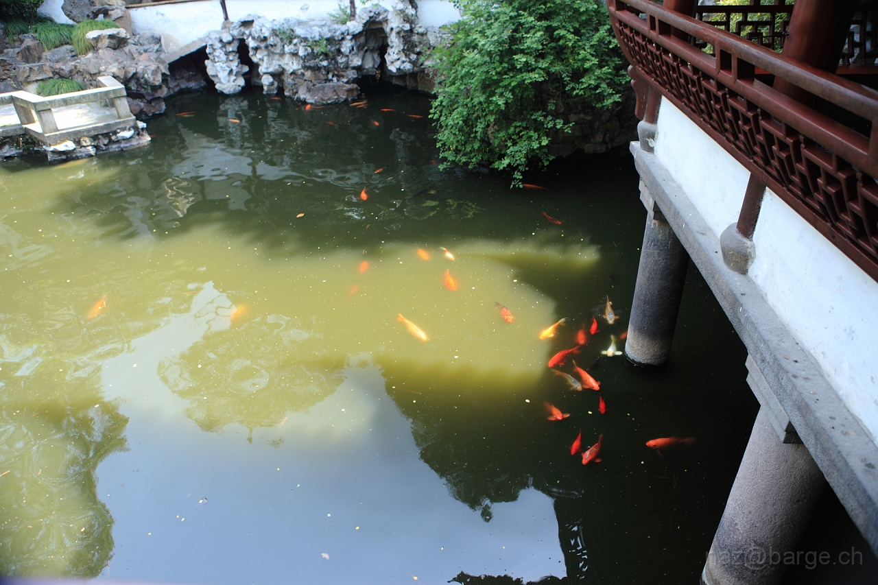 EOS 5D Mark II15_04_20134758.JPG